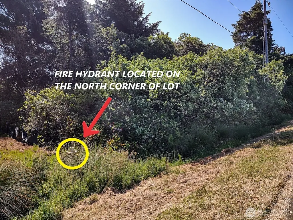 474 Volans Avenue SW Ocean Shores WA 98569