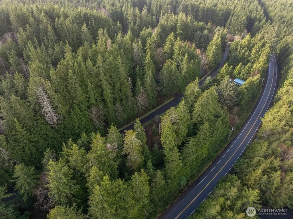 0 Salal Drive Copalis Beach WA 98535