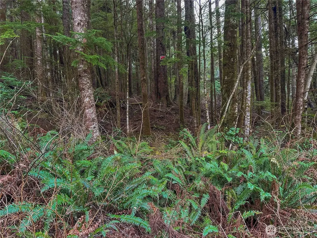 0 Salal Drive Copalis Beach WA 98535