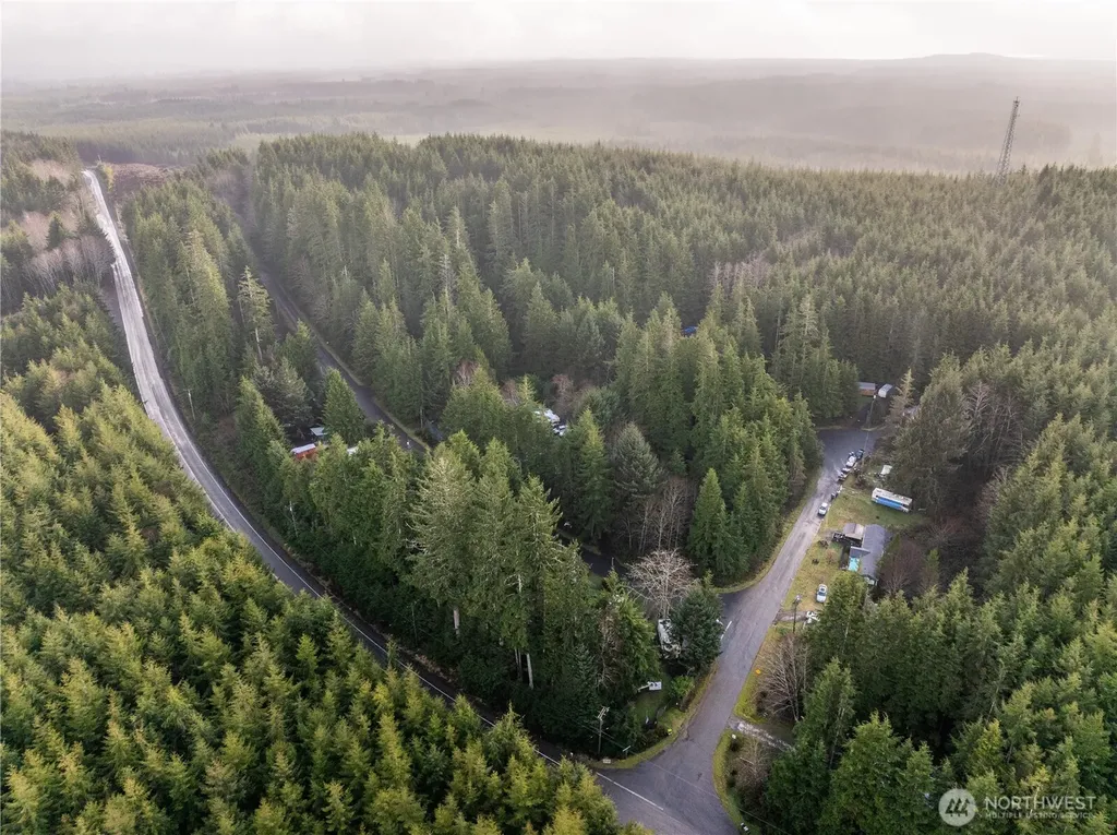 0 Salal Drive Copalis Beach WA 98535