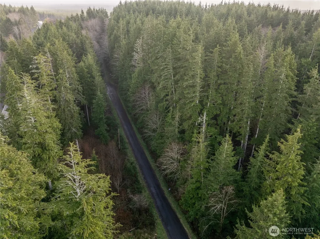 0 Salal Drive Copalis Beach WA 98535