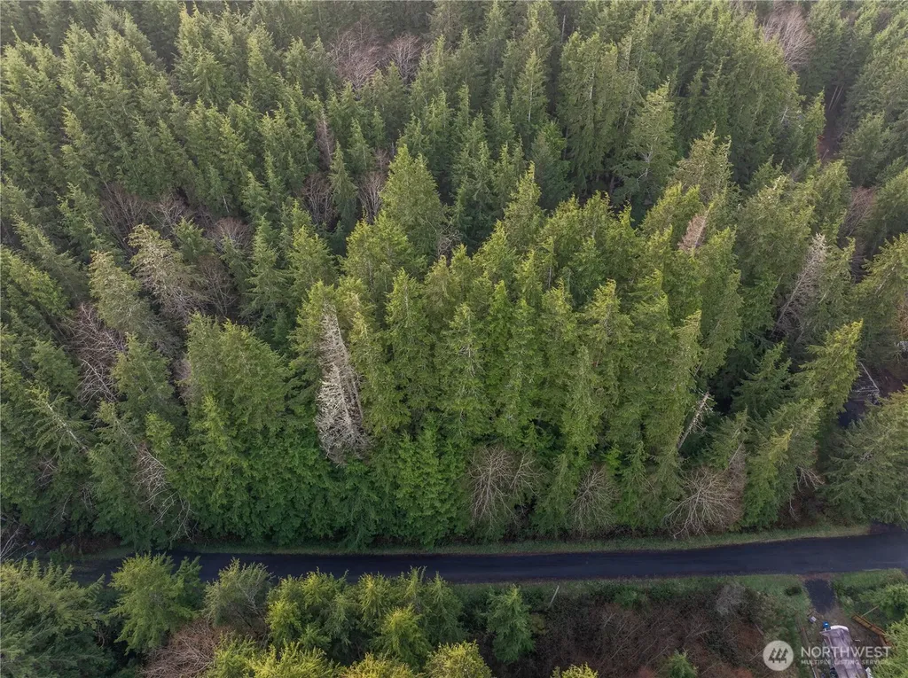 0 Salal Drive Copalis Beach WA 98535