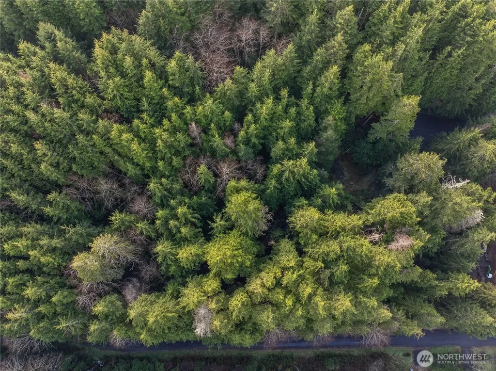 0 Salal Drive Copalis Beach WA 98535