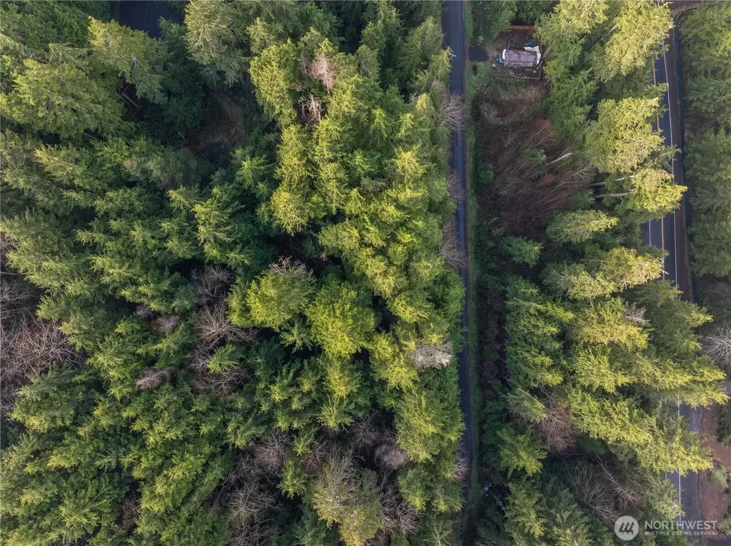 0 Salal Drive Copalis Beach WA 98535