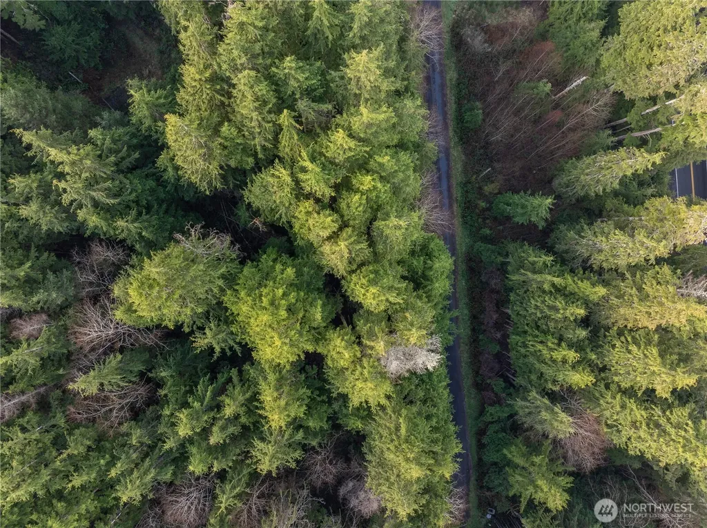 0 Salal Drive Copalis Beach WA 98535