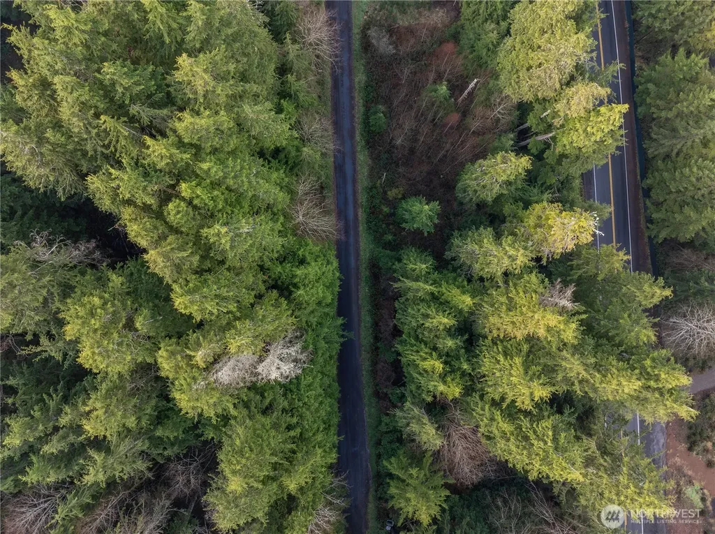 0 Salal Drive Copalis Beach WA 98535