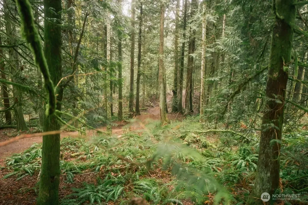 0 Princeton Court Bellingham WA 98229