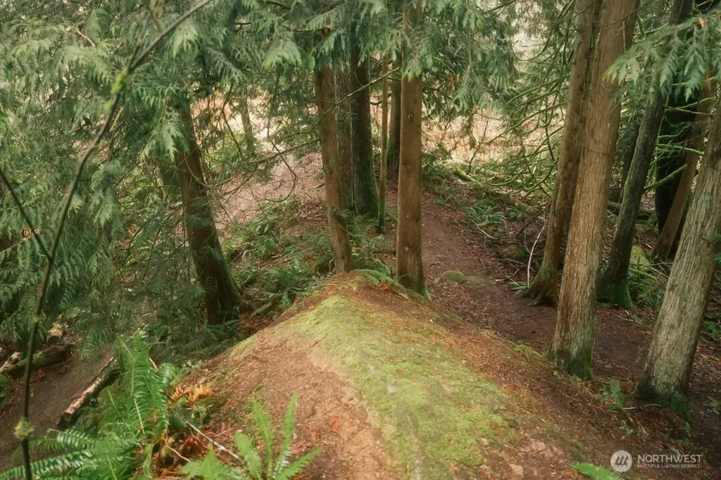 0 Princeton Court Bellingham WA 98229