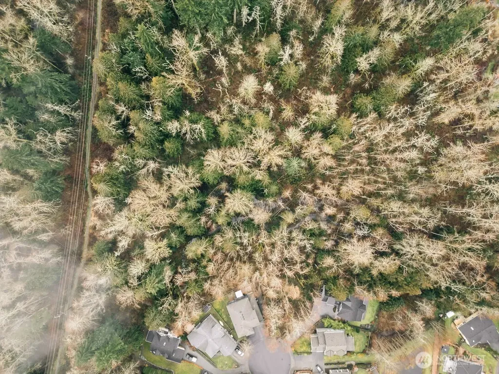 0 Princeton Court Bellingham WA 98229