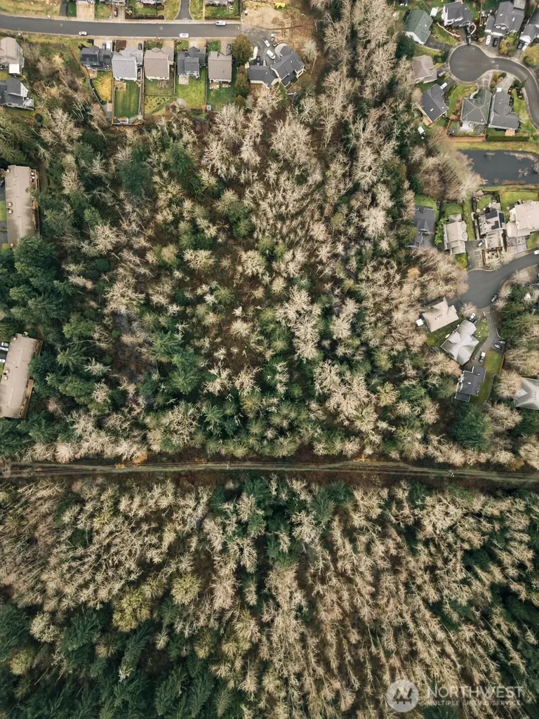 0 Princeton Court Bellingham WA 98229