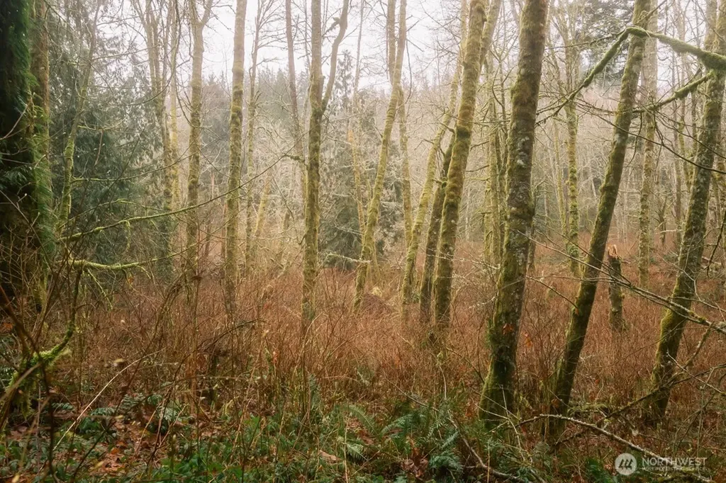 0 Princeton Court Bellingham WA 98229