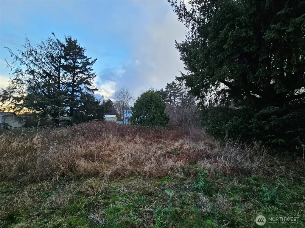19 N 3rd Street Pacific Beach WA 98571