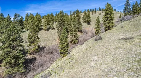 9640 Nahahum Canyon Road Cashmere WA 98815