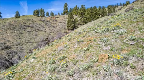 9640 Nahahum Canyon Road Cashmere WA 98815