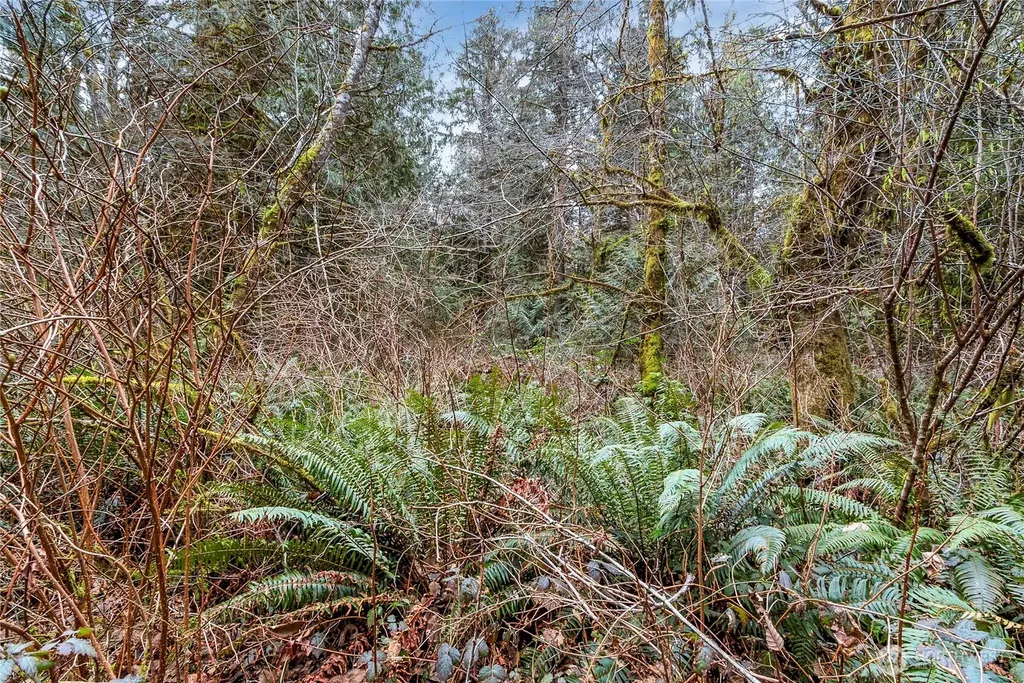 2902 136th Street NW Gig Harbor WA 98332