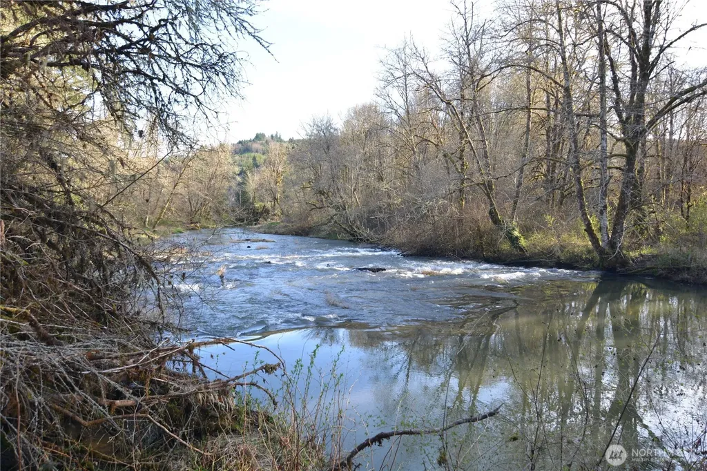 1397 State Route 506 Vader WA 98593