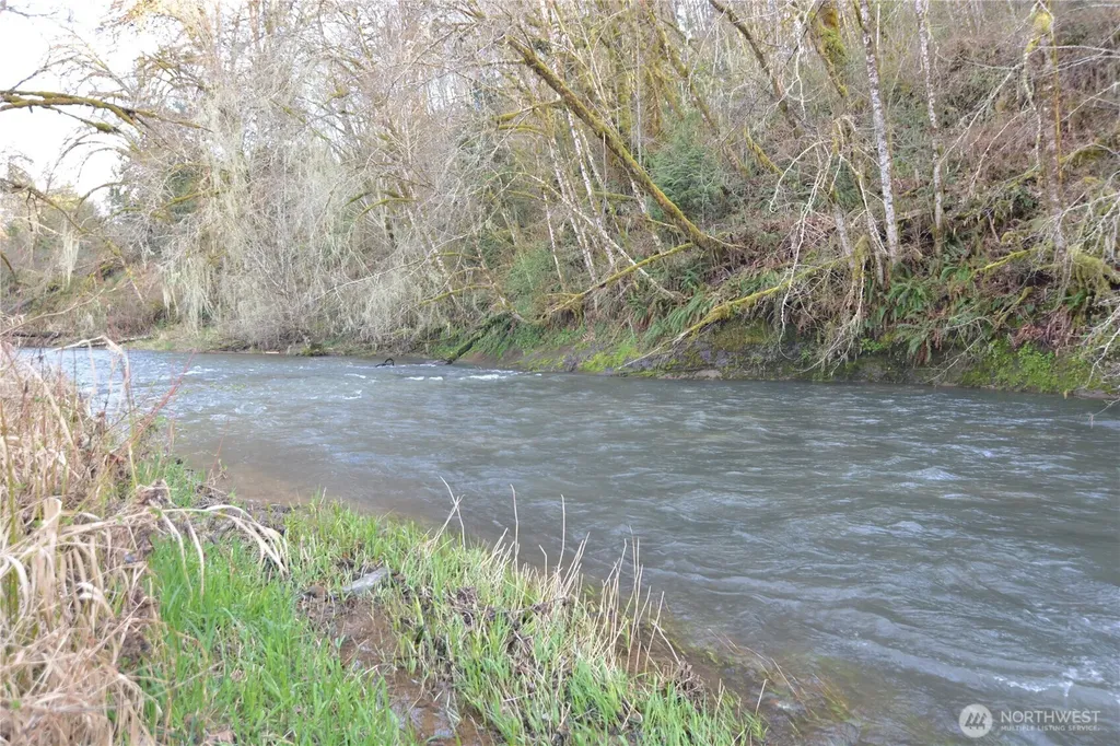 1397 State Route 506 Vader WA 98593