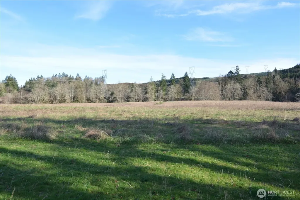 1397 State Route 506 Vader WA 98593