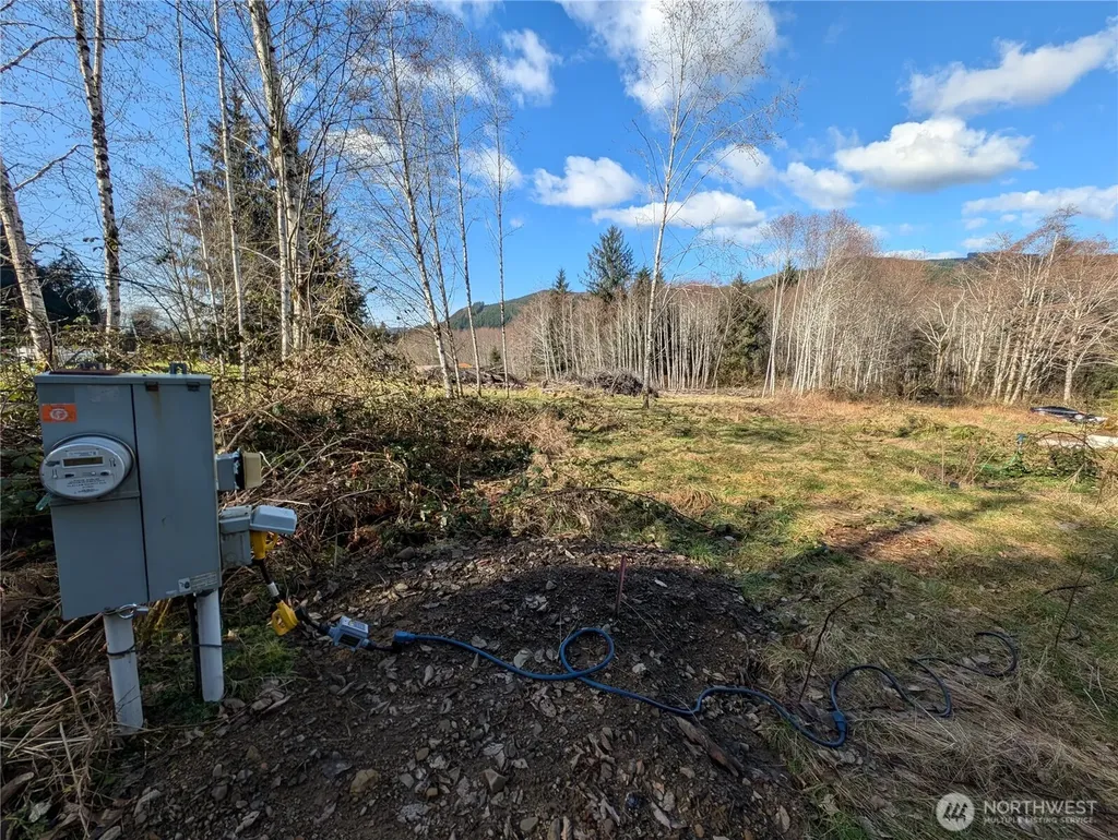 215 Elk Creek Ridge Road Forks WA 98331