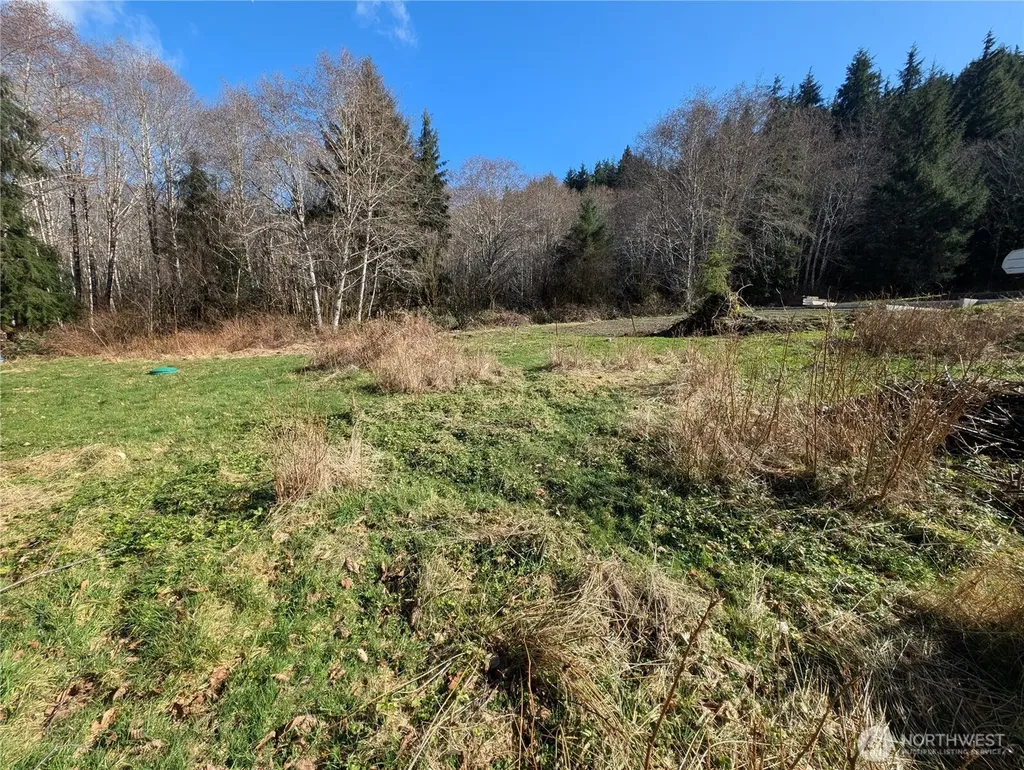 215 Elk Creek Ridge Road Forks WA 98331