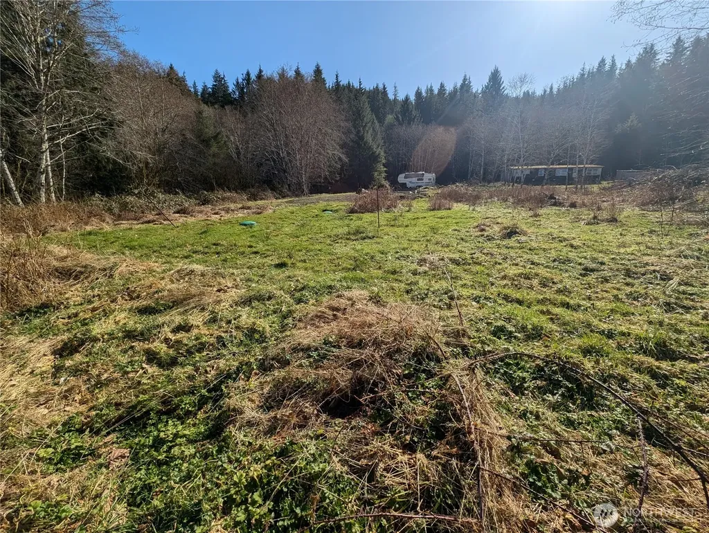 215 Elk Creek Ridge Road Forks WA 98331