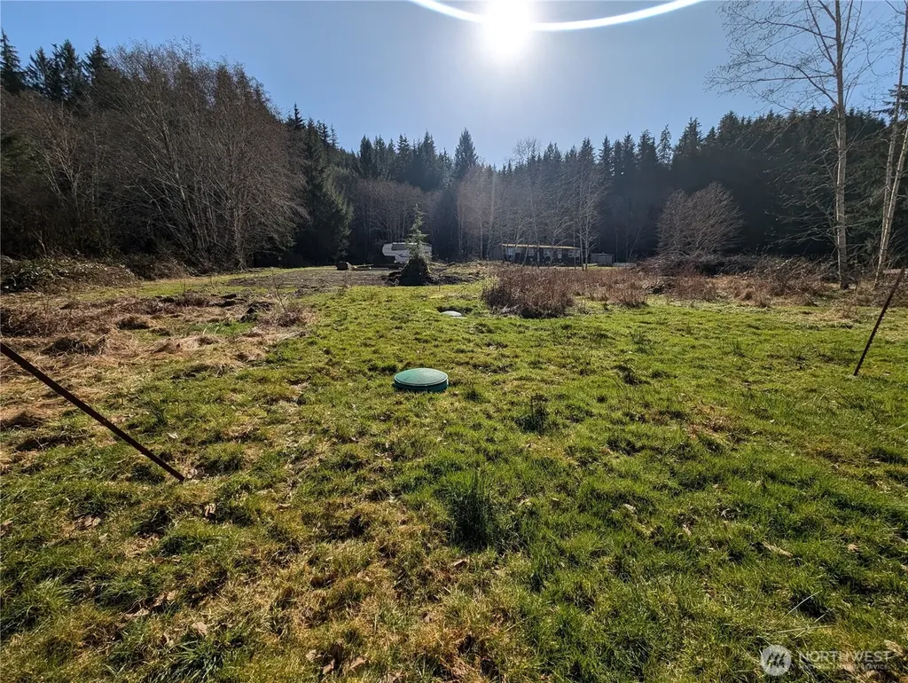 215 Elk Creek Ridge Road Forks WA 98331