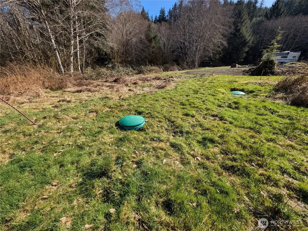 215 Elk Creek Ridge Road Forks WA 98331