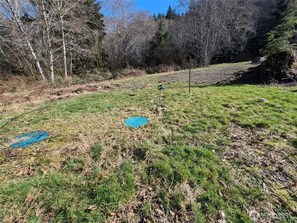 215 Elk Creek Ridge Road Forks WA 98331