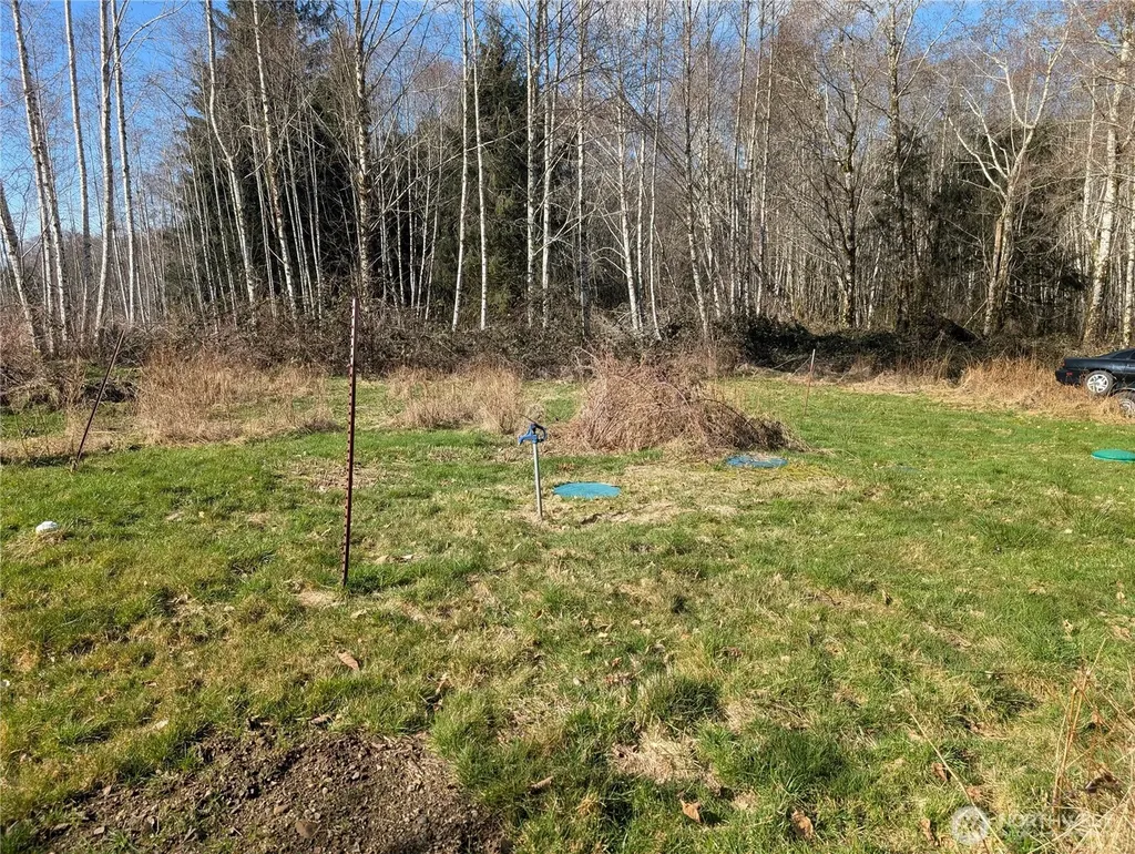 215 Elk Creek Ridge Road Forks WA 98331