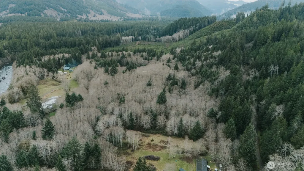215 Elk Creek Ridge Road Forks WA 98331