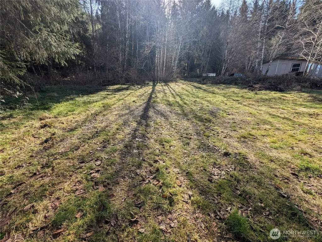 215 Elk Creek Ridge Road Forks WA 98331