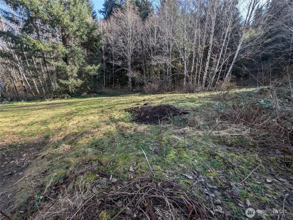 215 Elk Creek Ridge Road Forks WA 98331