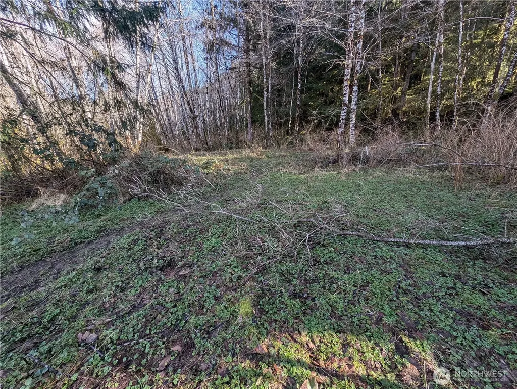 215 Elk Creek Ridge Road Forks WA 98331