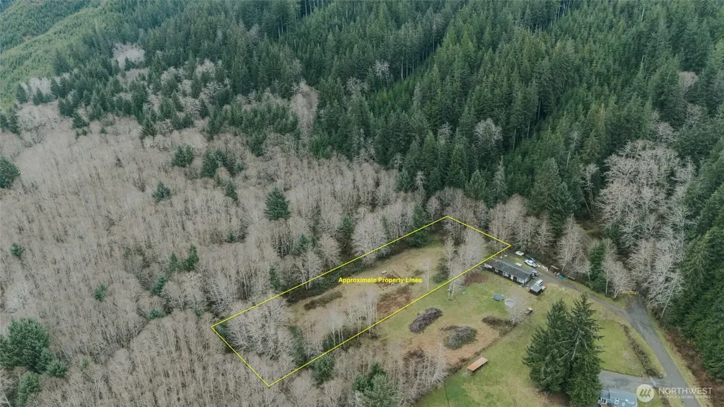 215 Elk Creek Ridge Road Forks WA 98331