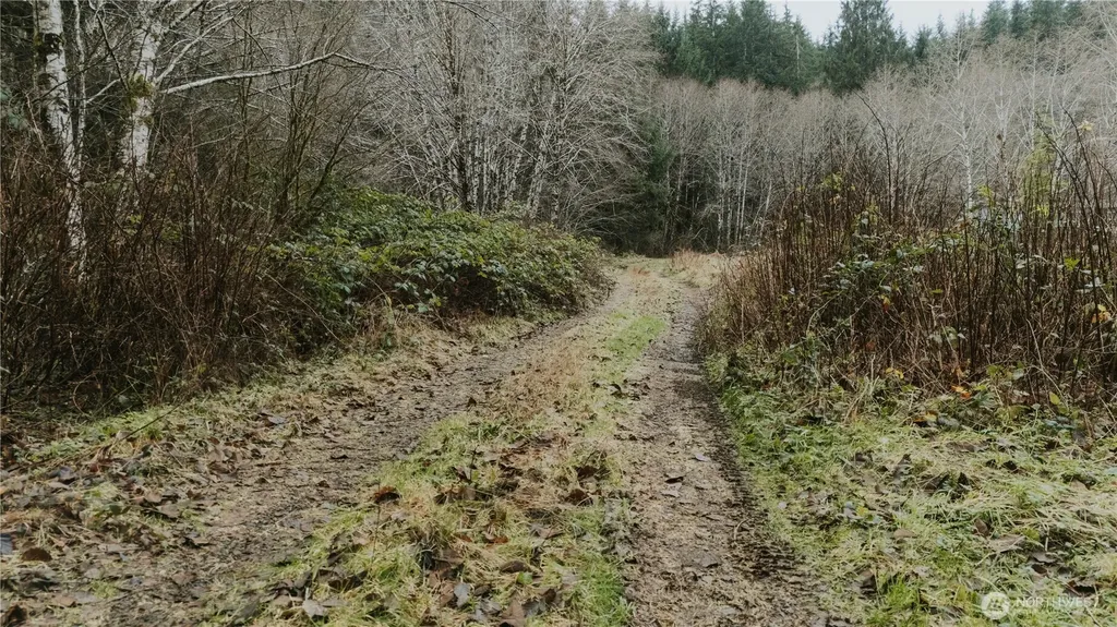 215 Elk Creek Ridge Road Forks WA 98331