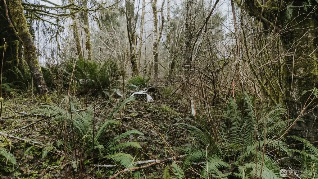 215 Elk Creek Ridge Road Forks WA 98331