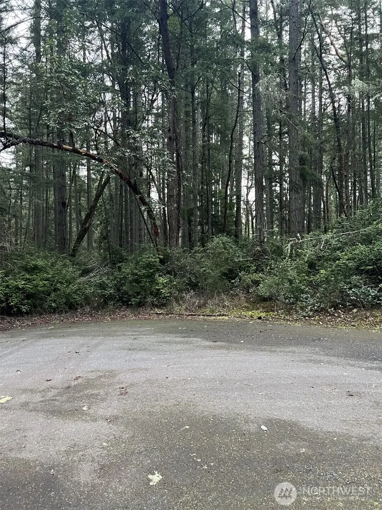 8811 127th Avenue Court Anderson Island WA 98303
