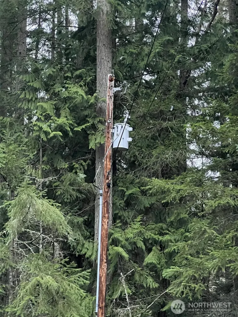 8811 127th Avenue Court Anderson Island WA 98303