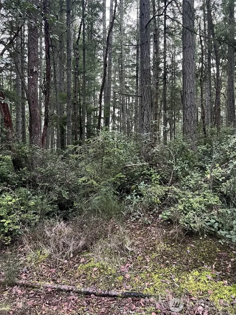 8811 127th Avenue Court Anderson Island WA 98303