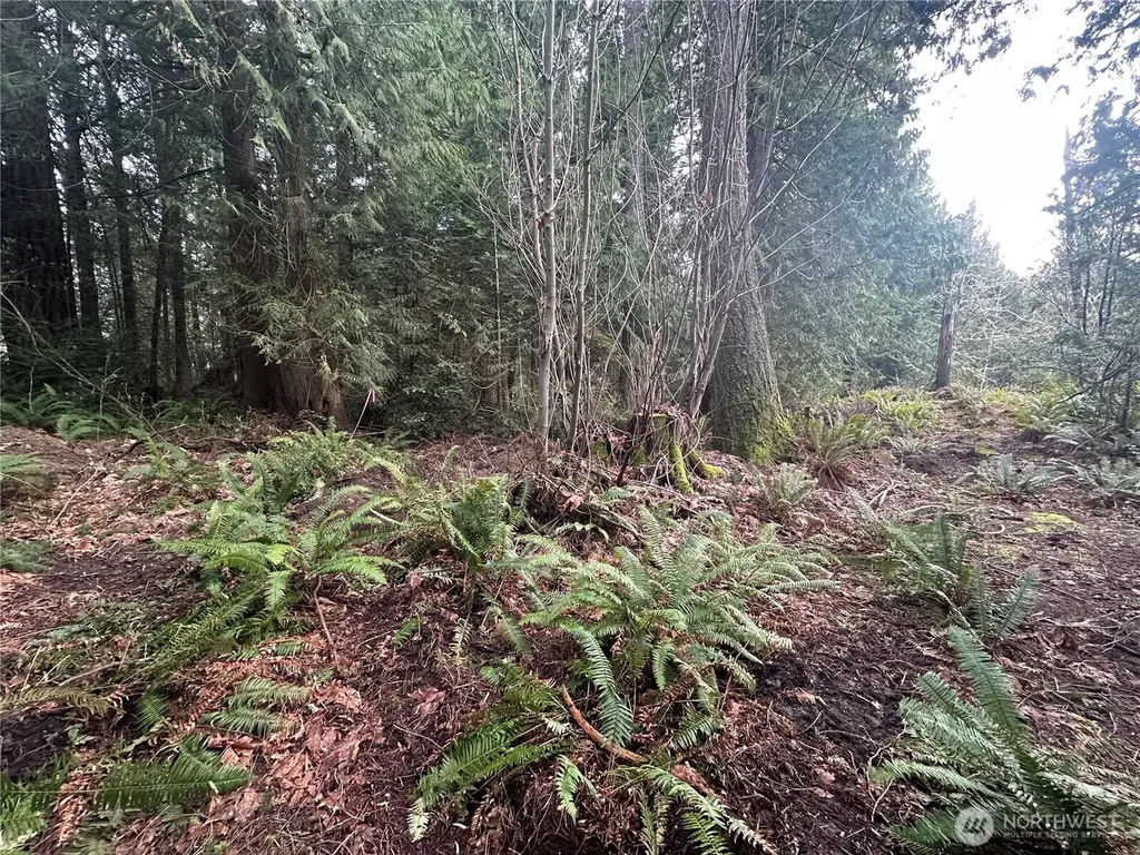22 E Washington Street Port Orchard WA 98366
