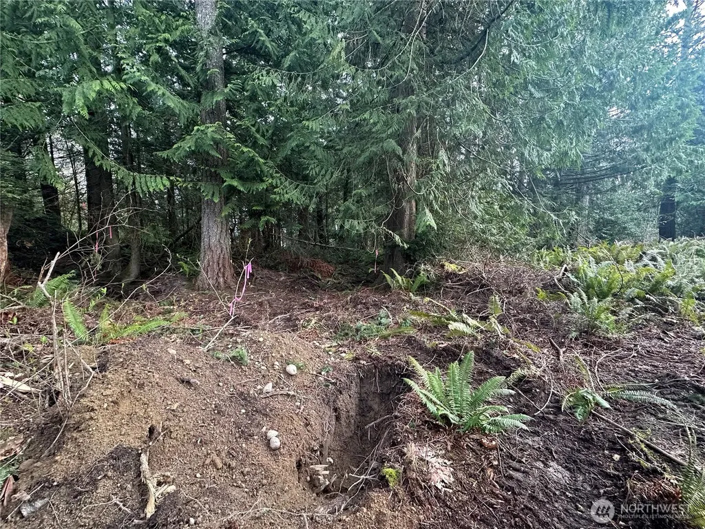 22 E Washington Street Port Orchard WA 98366