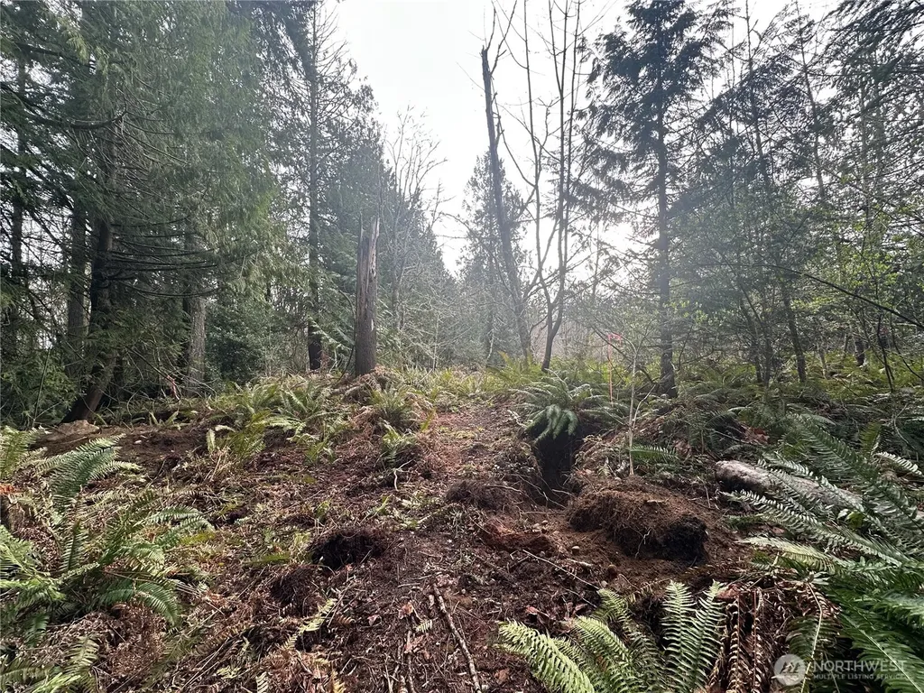 22 E Washington Street Port Orchard WA 98366