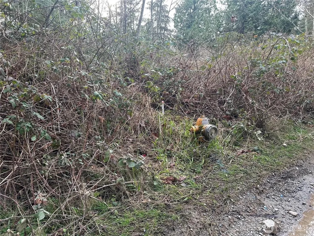 22 E Washington Street Port Orchard WA 98366