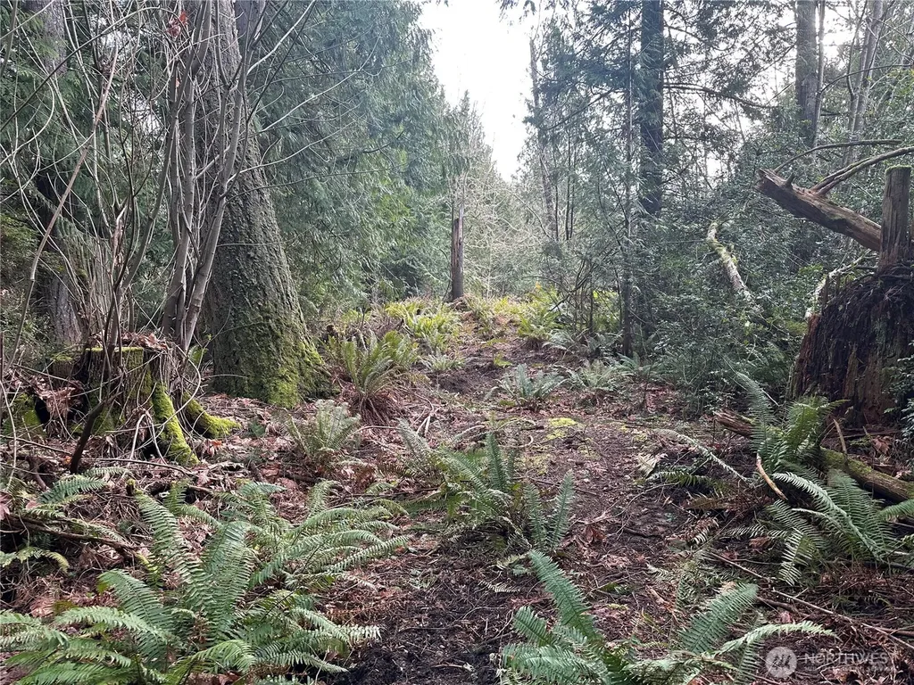 22 E Washington Street Port Orchard WA 98366