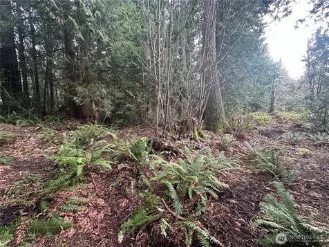 22 E Washington Street Port Orchard WA 98366