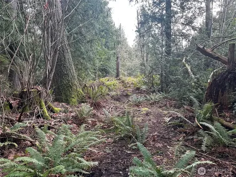 22 E Washington Street Port Orchard WA 98366