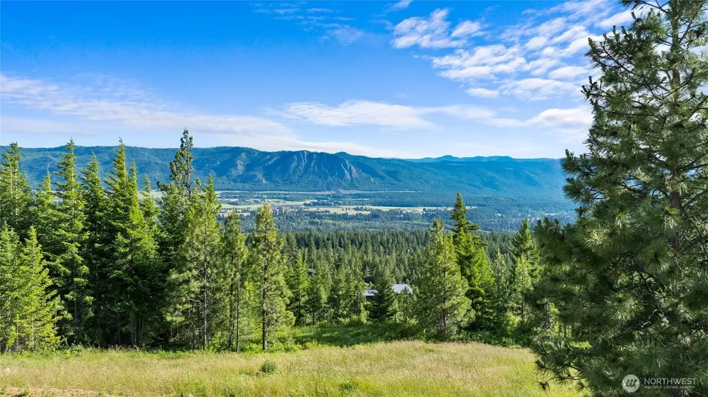 31 Forest Ridge Drive Cle Elum WA 98922