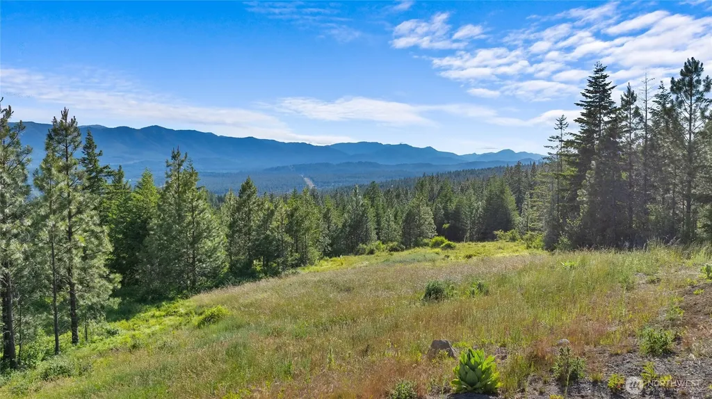 31 Forest Ridge Drive Cle Elum WA 98922
