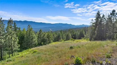 31 Forest Ridge Drive Cle Elum WA 98922