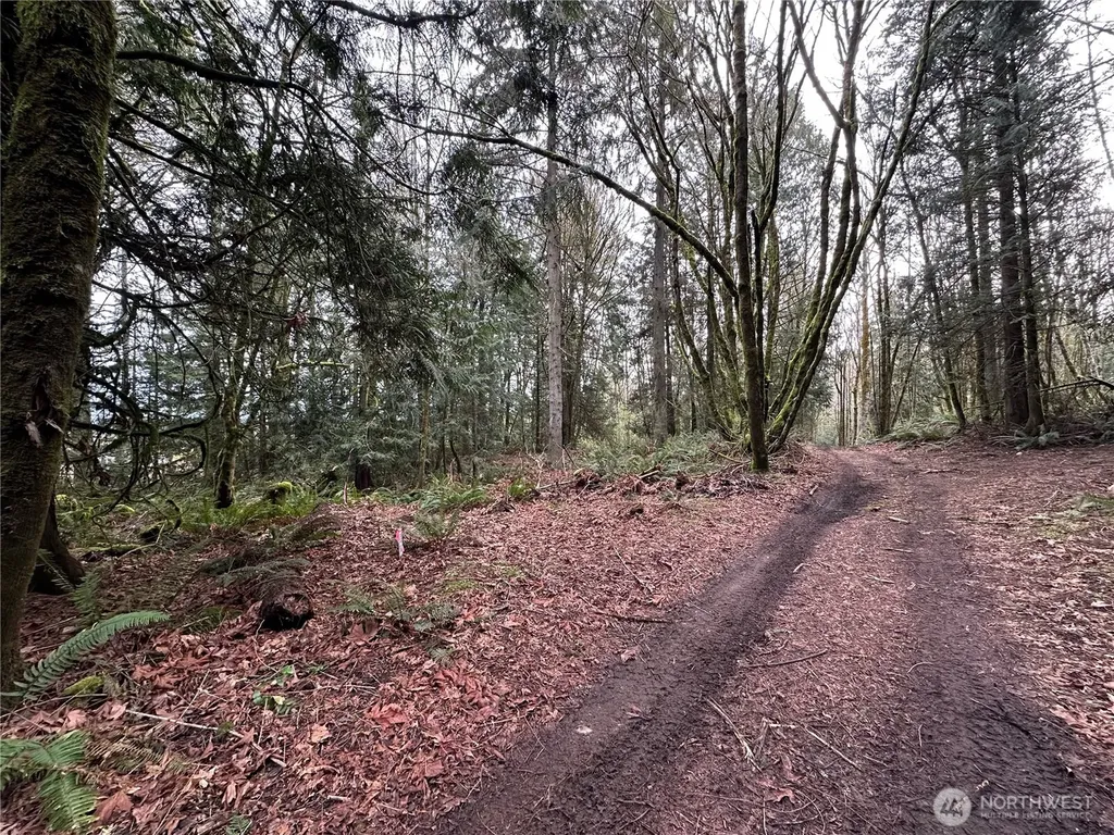 22 Nevada Avenue E Port Orchard WA 98366